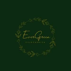 Evergreen logo | Zadar | Supernova
